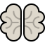 Brain icon 64x64