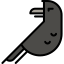 Raven icon 64x64