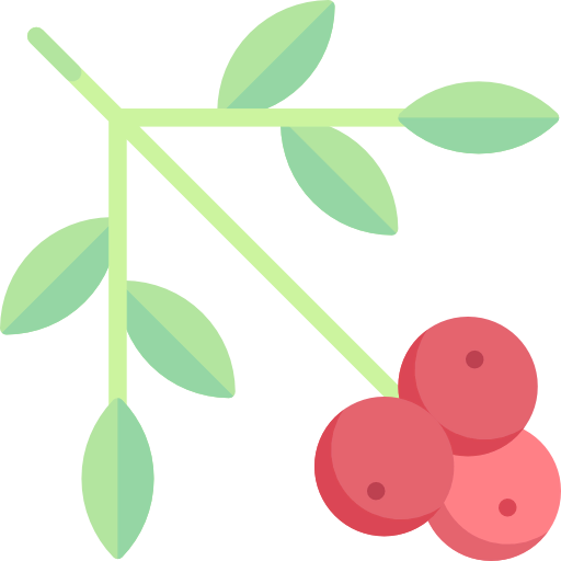 Berries icon