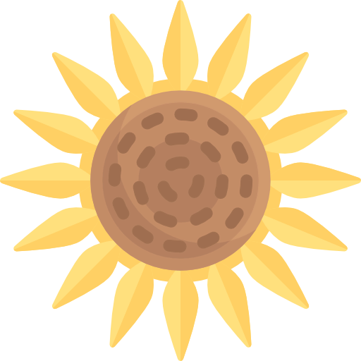 Sunflower icon