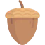 Acorn icon 64x64