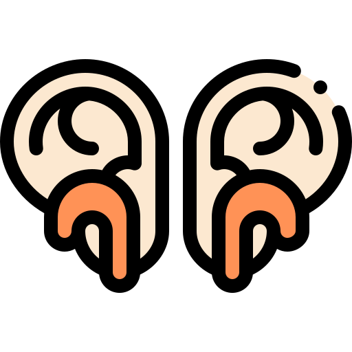 Candy icon