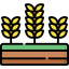 Corn icon 64x64