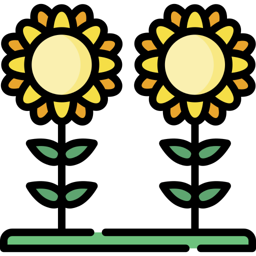 Sunflower icon