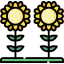 Sunflower アイコン 64x64