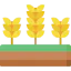 Corn icon 64x64