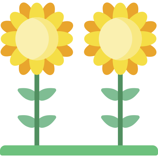 Sunflower icon