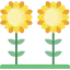 Sunflower アイコン 64x64