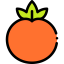 Tomato icon 64x64