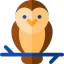 Owl アイコン 64x64