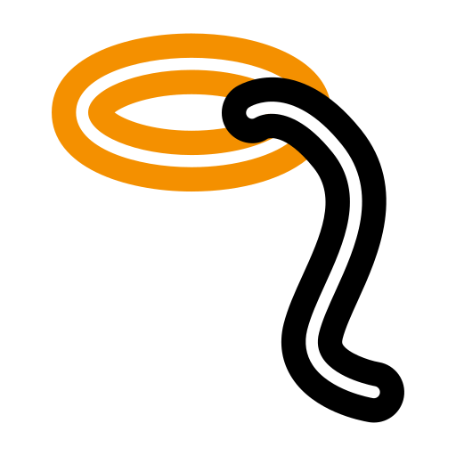 Lasso icon