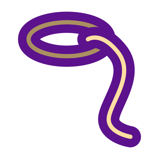 Lasso icon