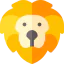 Lion icon 64x64