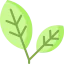 Leaves icon 64x64