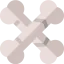 Anatomy icon 64x64