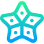 Starfish icon 64x64