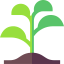 Sprout icon 64x64
