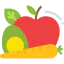 Healthy food icon 64x64