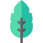 Leaf icon 64x64