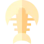 Fossil icon 64x64