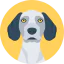 Dog icon 64x64