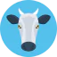 Cow icon 64x64