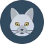 Cat icon 64x64