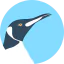 Penguin icon 64x64