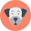 Dog icon 64x64