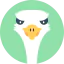 Ostrich Symbol 64x64