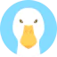 Duck Ikona 64x64