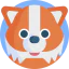 Fox icon 64x64