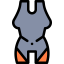 Neoprene icon 64x64