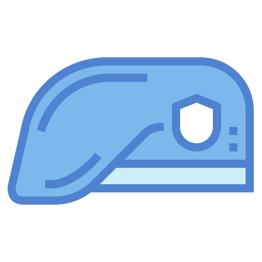 Beret icon