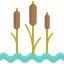 Reed ícono 64x64