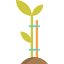 Sprout icon 64x64