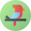 Parrot icon 64x64