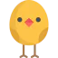 Chicken icon 64x64