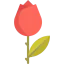 Flower icon 64x64