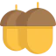 Acorn icon 64x64