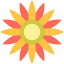 Sunflower icon 64x64