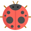 Ladybug icon 64x64