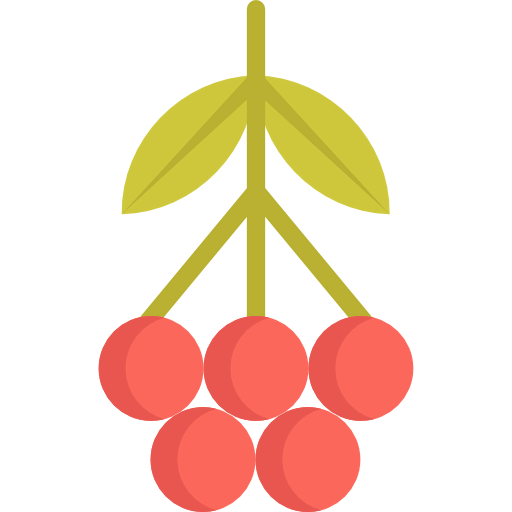 Rowan icon