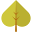 Leaf icon 64x64