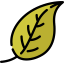 Leaf icon 64x64