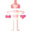 Underwear icon 64x64
