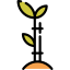 Sprout icon 64x64
