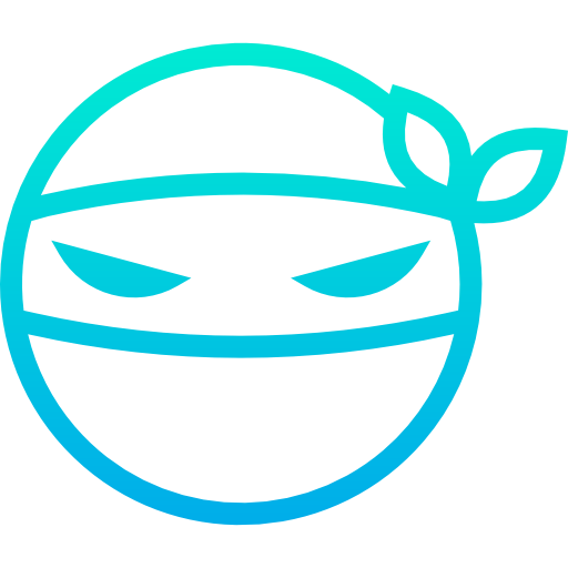 Ninja icon