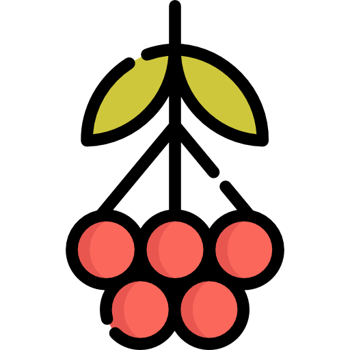 Rowan icon