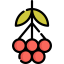 Rowan icon 64x64